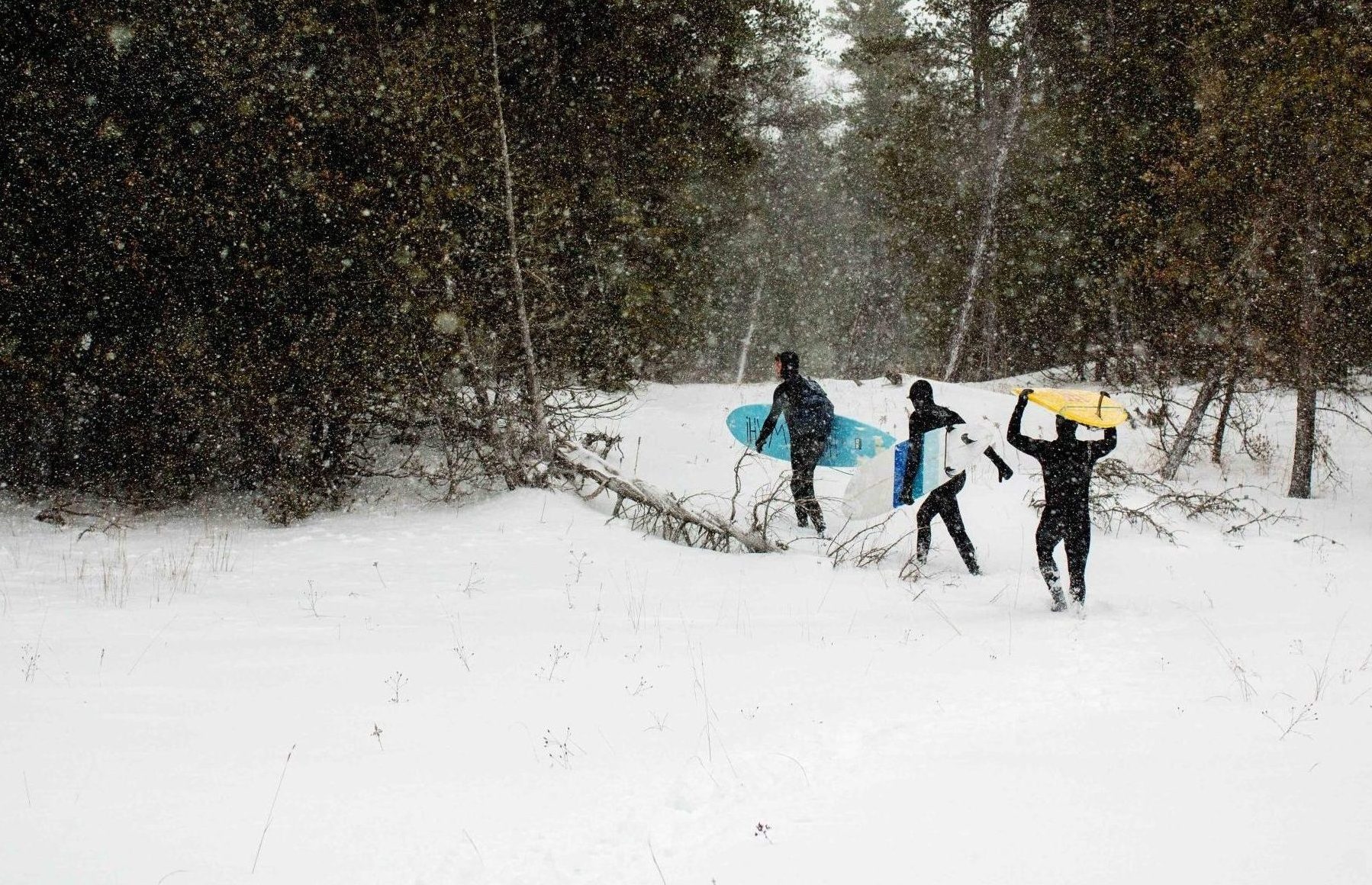 Suit Up - Winter's Coming!