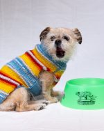 The Freshwater Dog Bowl