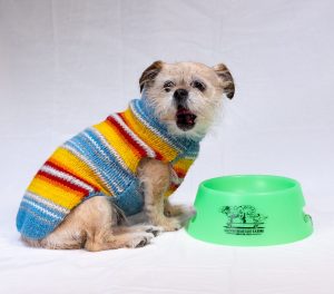 The Freshwater Dog Bowl