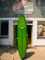 Migration 7’10 Northern Pintail