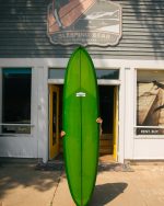 Migration 7’10 Northern Pintail